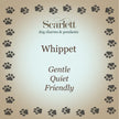 Whippet Personalised Silver Dog Tag Necklace