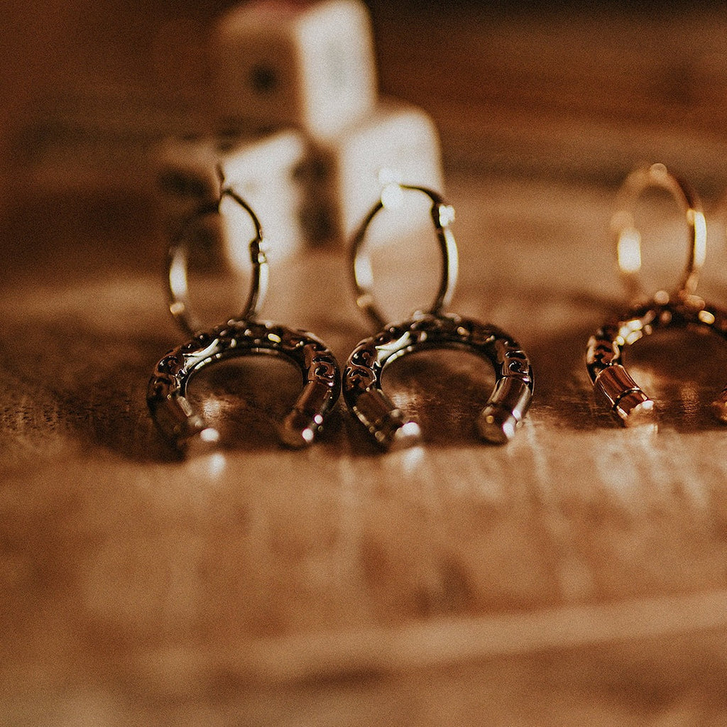 Lucky Charm Horseshoe Hoop Earrings