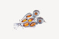Wise Owl Brooch