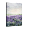 Melancholic Lavender Fields Canvas