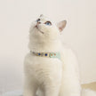 PU Leather Dogs And Cats Diamond Chest Back Suit