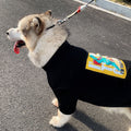 Fashionable And Cute Anti-fluff Pet Clothes Parent-child Clothing