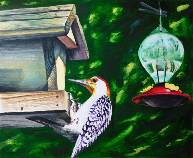 Woodpecker, Acrylic Bird Painting