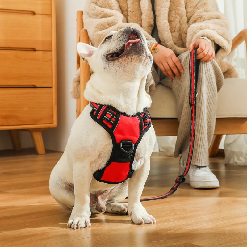 Pechera Antitirones para Perros