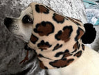 Pet Hat Warm Drawstring Adjustment Cap