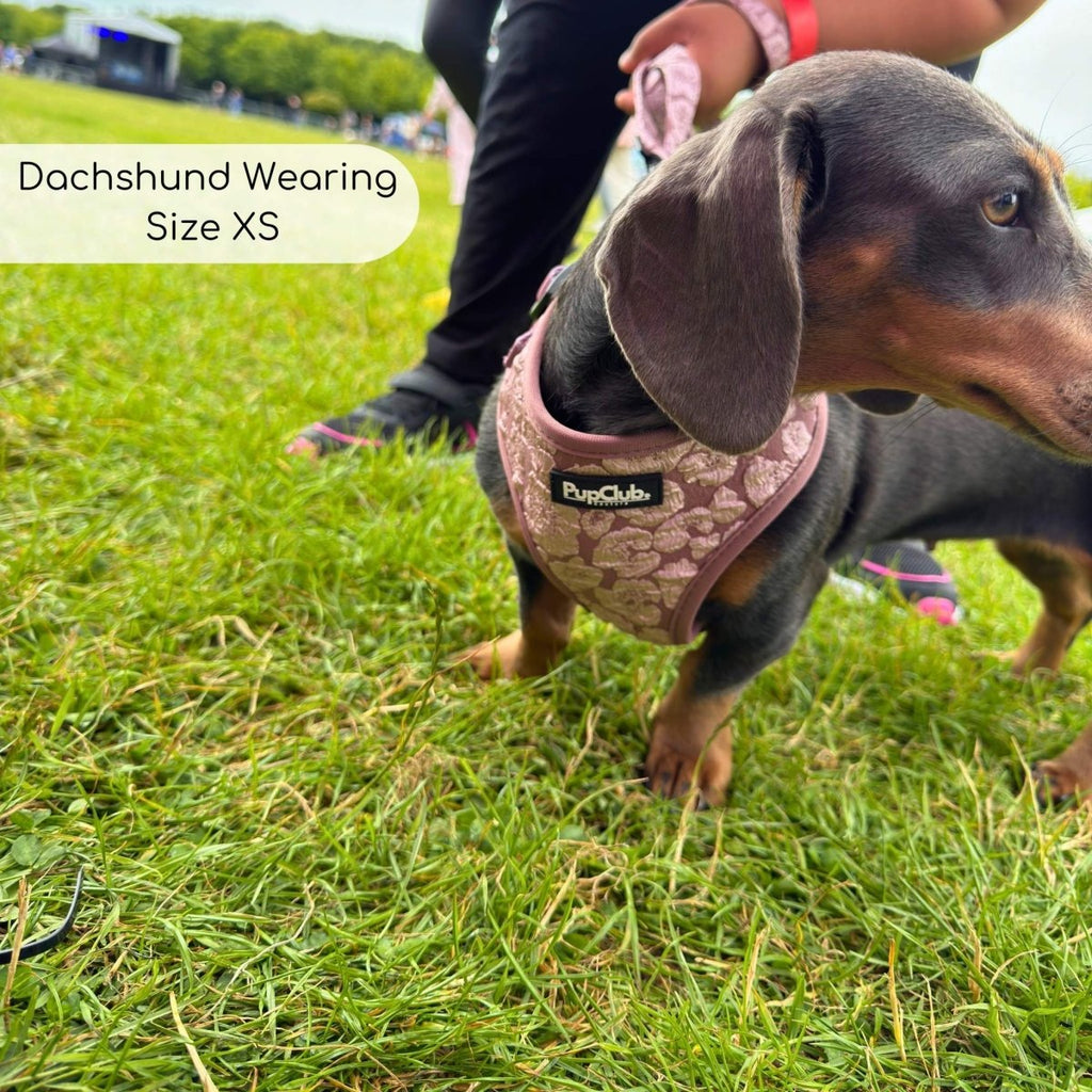 Luxe Adjustable Harness - Mocha Petals