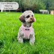 Tweed Adjustable Harness - Pink