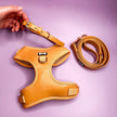 Alfresco Pup vegan leather 5ft dog lead