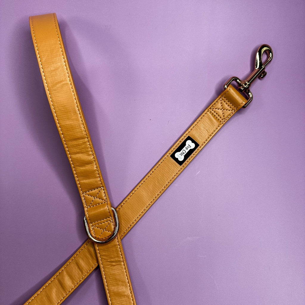 Alfresco Pup vegan leather 5ft dog lead