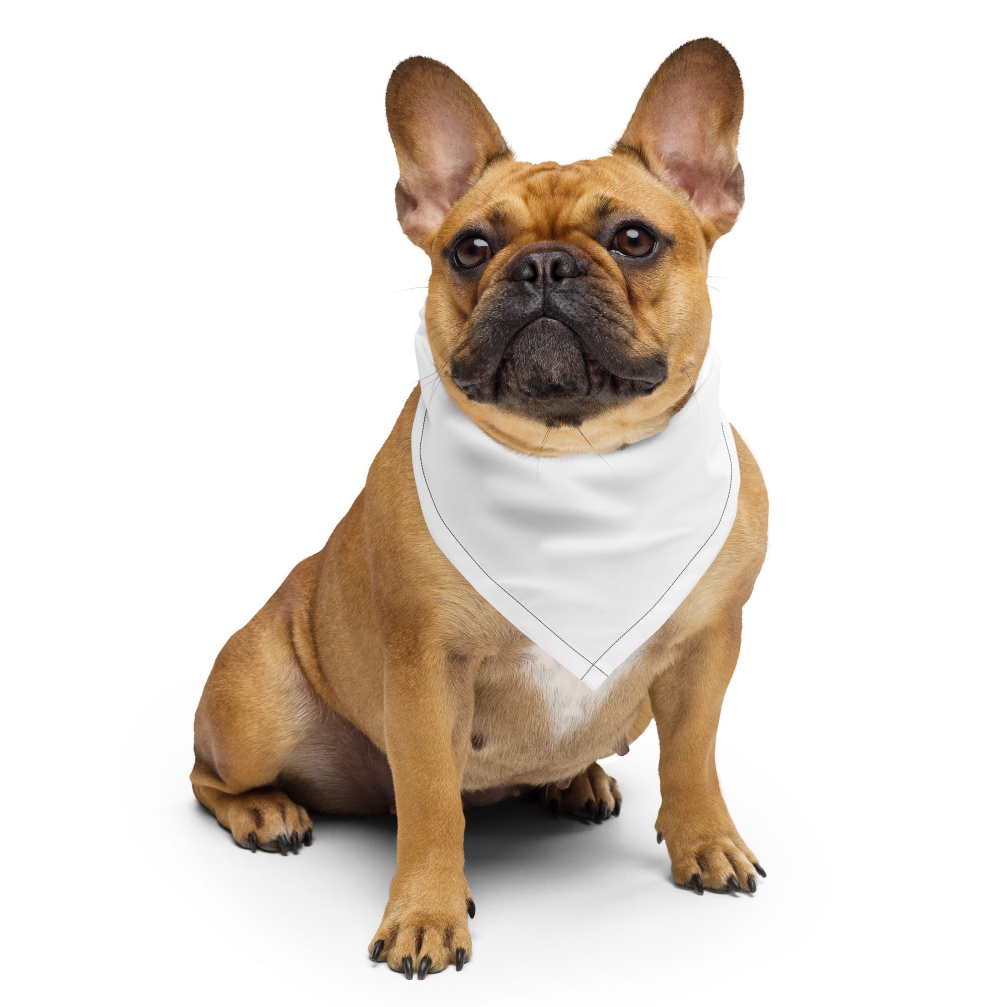 IRELAND - All-over Print Bandana