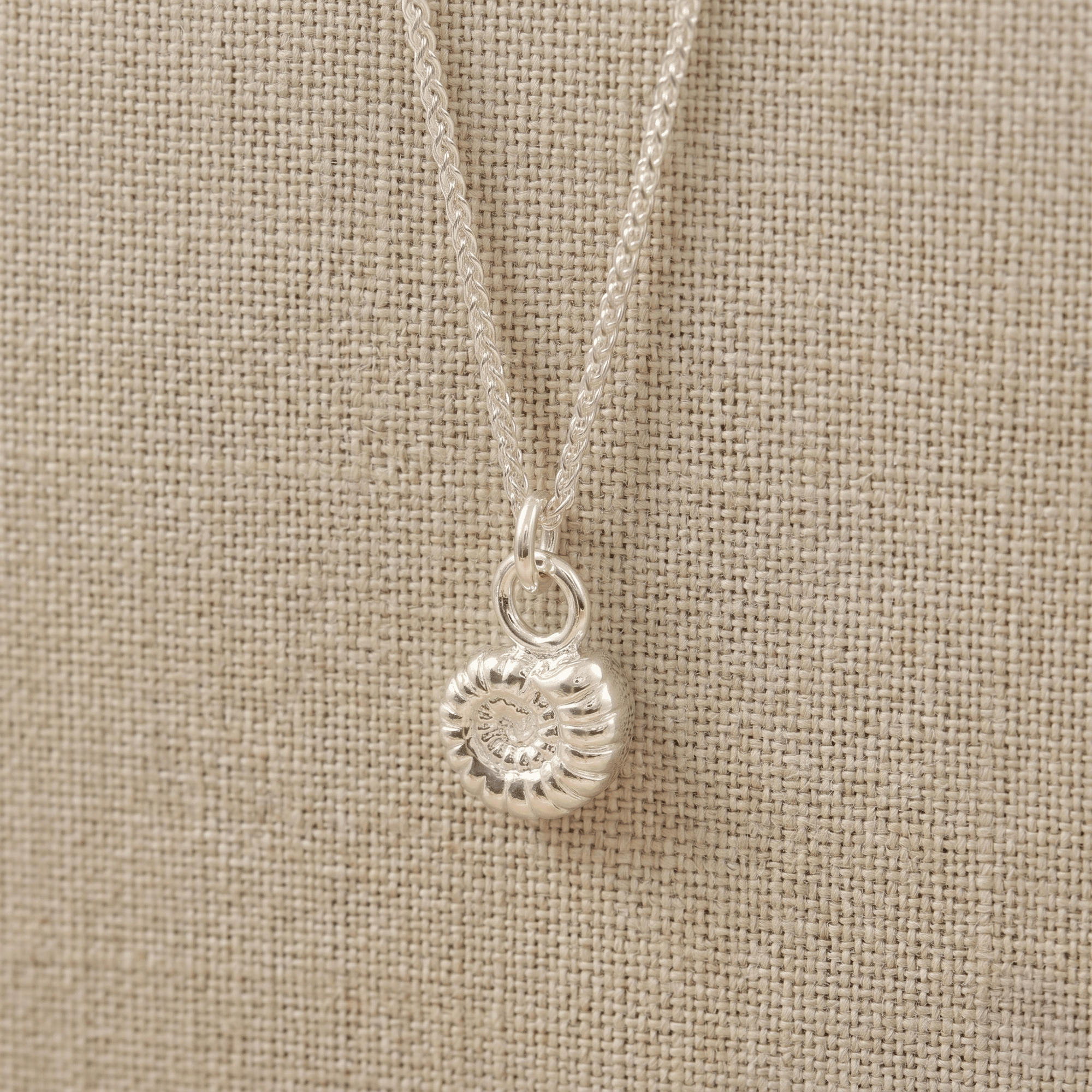 Ammonite Fossil Silver Charm