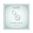 Ammonite Fossil Silver Charm