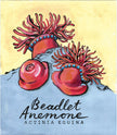 Beadlet Anenome  - Cornish Sea LIfe Series - Giclée Print
