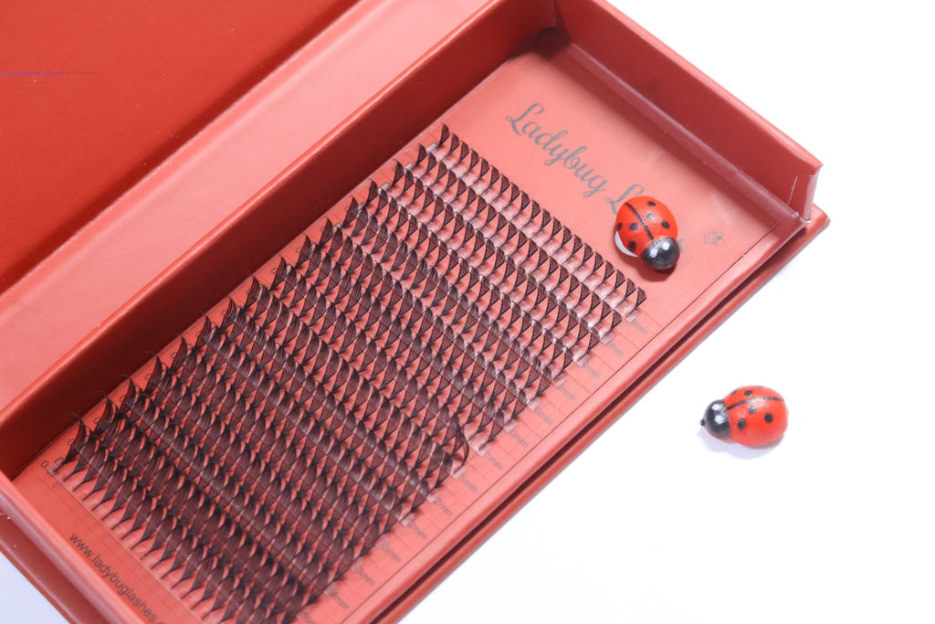 Anime Feather Lash 16 Row Tray