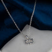 Silver Zodiac Necklace