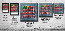 Wolves FC Shirts - A2 Signed Limited Edition Prints
