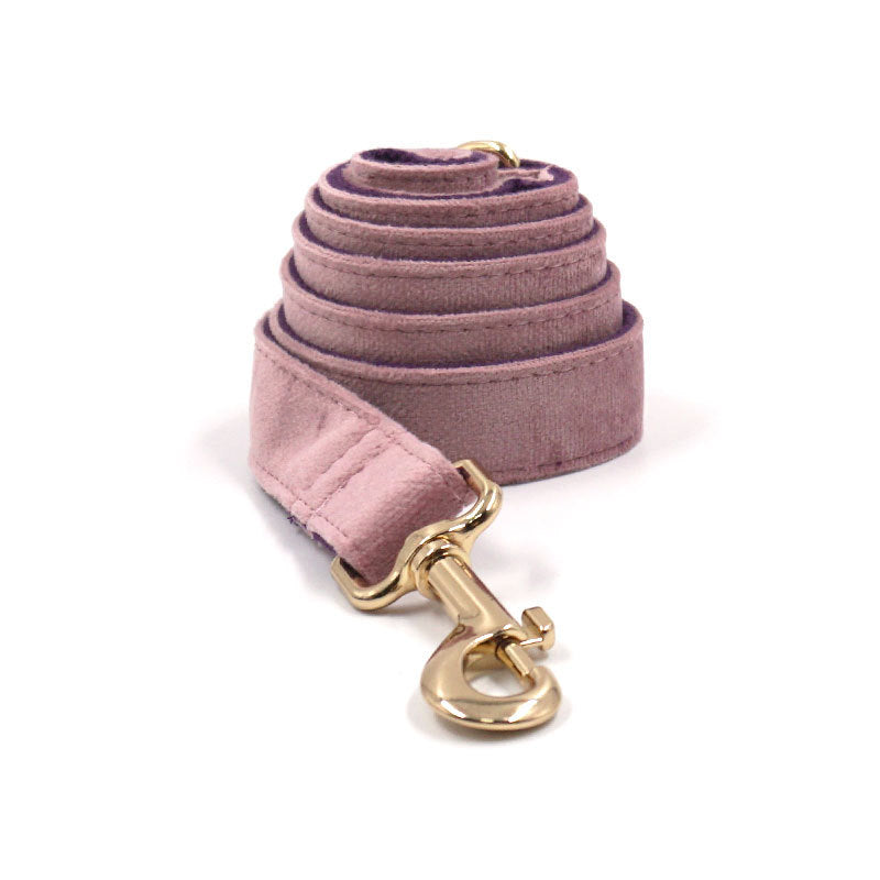 Hundehalsband- und Leinen-Set „Creamy Coffee Velvet“