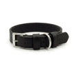 Black Leather Dog Collar