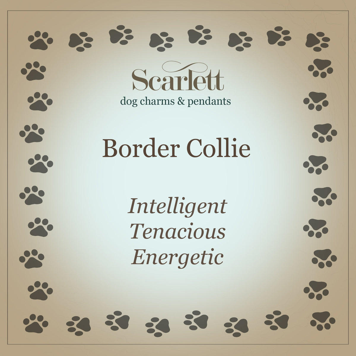 Border Collie Personalised Silver Dog Tag Necklace