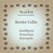 Border Collie Personalised Silver Dog Tag Necklace