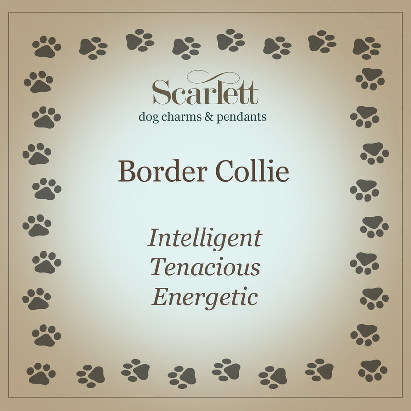 Border Collie Personalised Silver Dog Tag Necklace