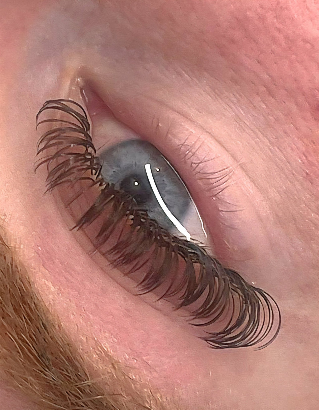 Brown Angel Lash 16 Row Mixed Tray