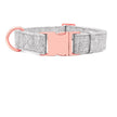 Pet Dog Collar Engraving Anti-Lost Traction Rope Supplies