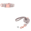 Pet Dog Collar Engraving Anti-Lost Traction Rope Supplies