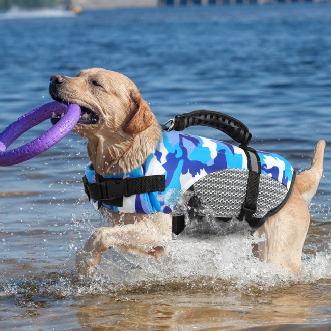 Rettungsweste Badesachen Corgi Goldenes Fell Chai-Hund