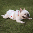 Lotus Leaf Lace Suspender Skirt Fadou Sherry Teddy Small And Medium Sized Dog, Cat And Dog Clothes Bago Strawberry Print