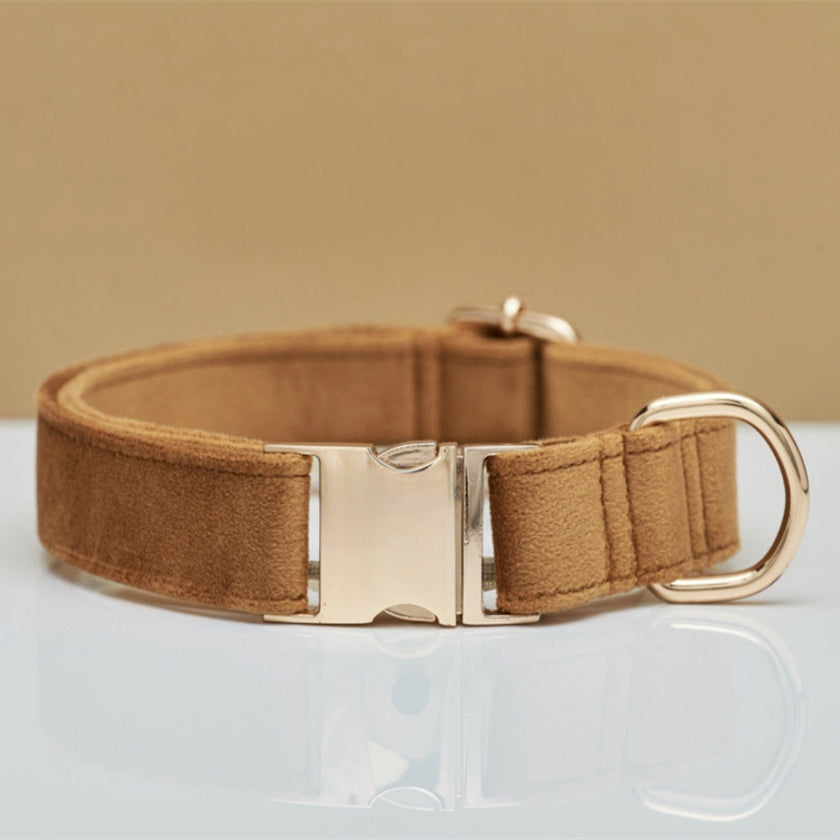 Multiple Colour Velvet Personalise Dog Collar Leash Set With Bow