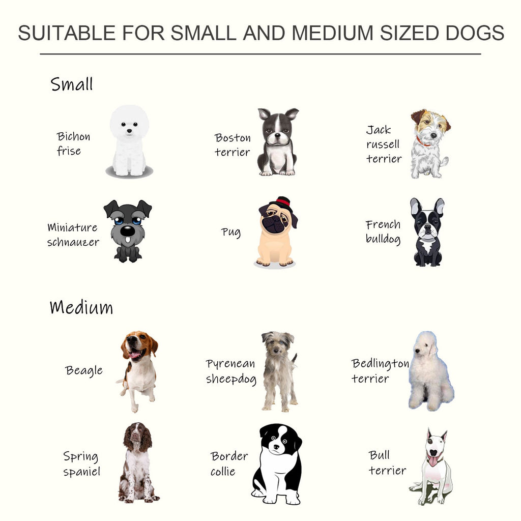 PawHut Raised Dog Feeding Bowls with Stand, Stainless Steel for Medium Dog, 58L x 31W x 25H cm - White