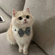 Winter Knitted Pet Collar And Neck