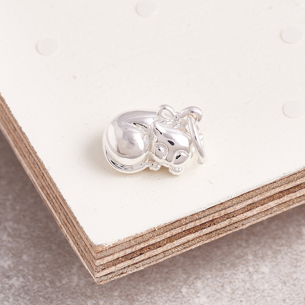 Cat Silver Charm