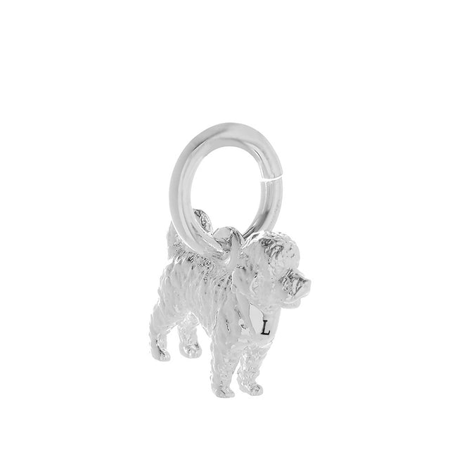 Dije de perro Cavapoo plateado