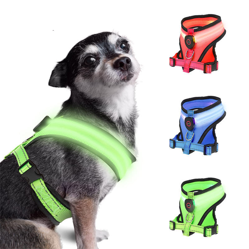 Arnés para perros con luz LED de malla recargable para mascotas
