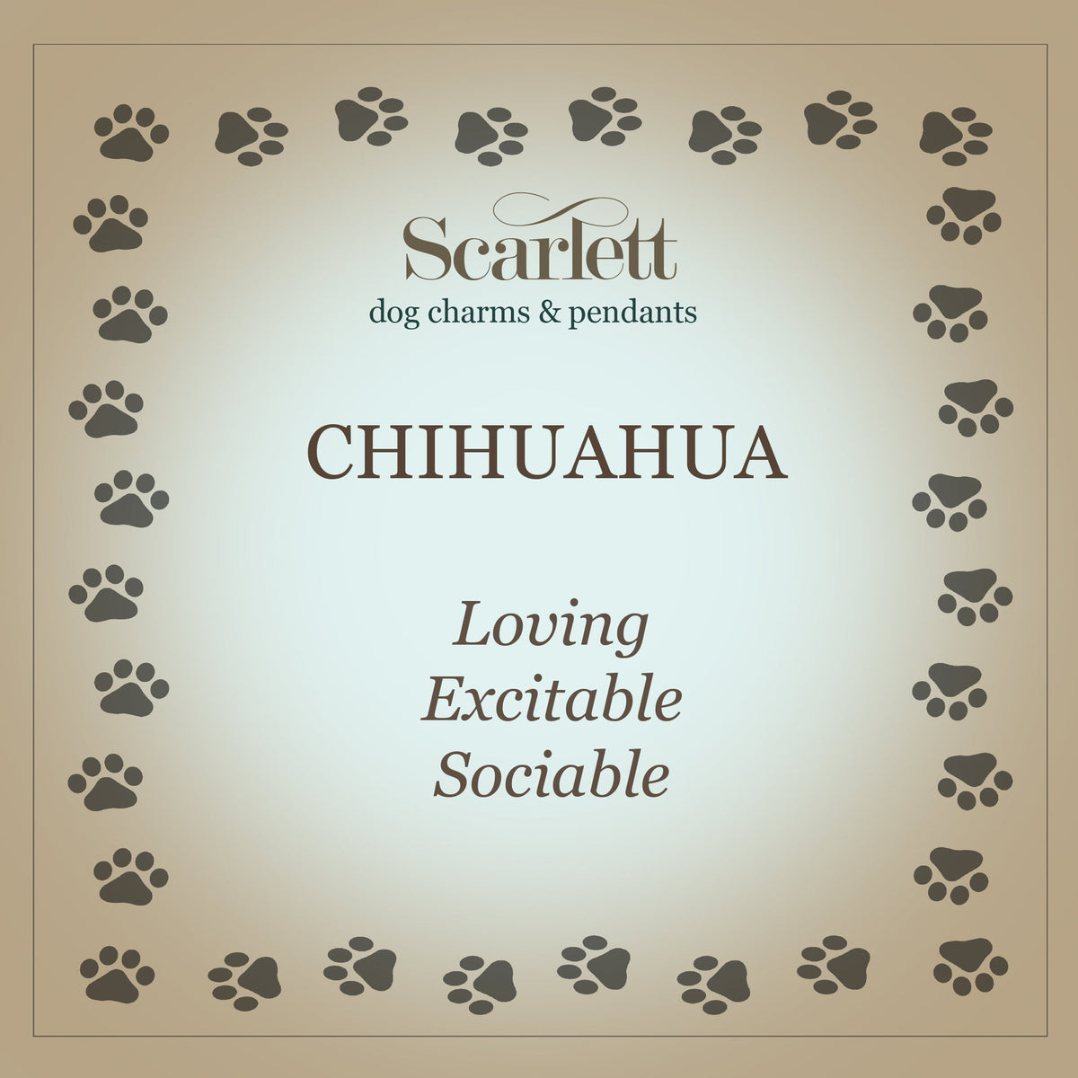 Chihuahua Personalised Silver Dog Tag Necklace