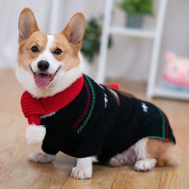 Gepolsterter Mantel Haustier Gefütterter Winter Shiba