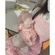 Mesh Bichon Teddy Dog Skirt