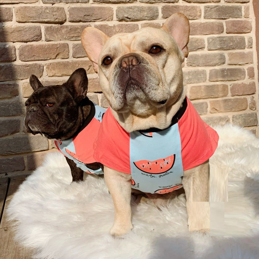 Frühling und Herbst dünne kurzärmelige Hundekleidung aus Baumwolle