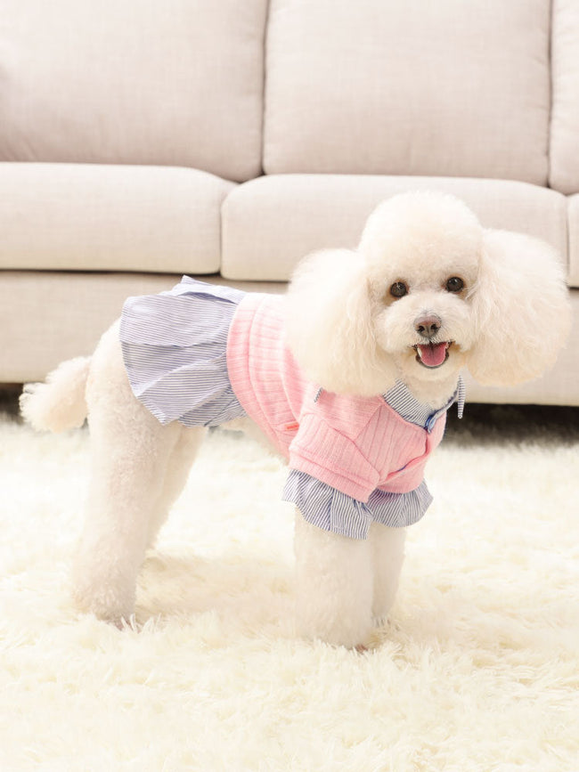 Hundebekleidung, dünner Stil, kleiner Hund, Haustier, trendige Herbst- und Winterkleidung