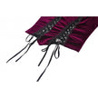 Dark in Love Serilda Velvet Lace Corset Top in Wine Red