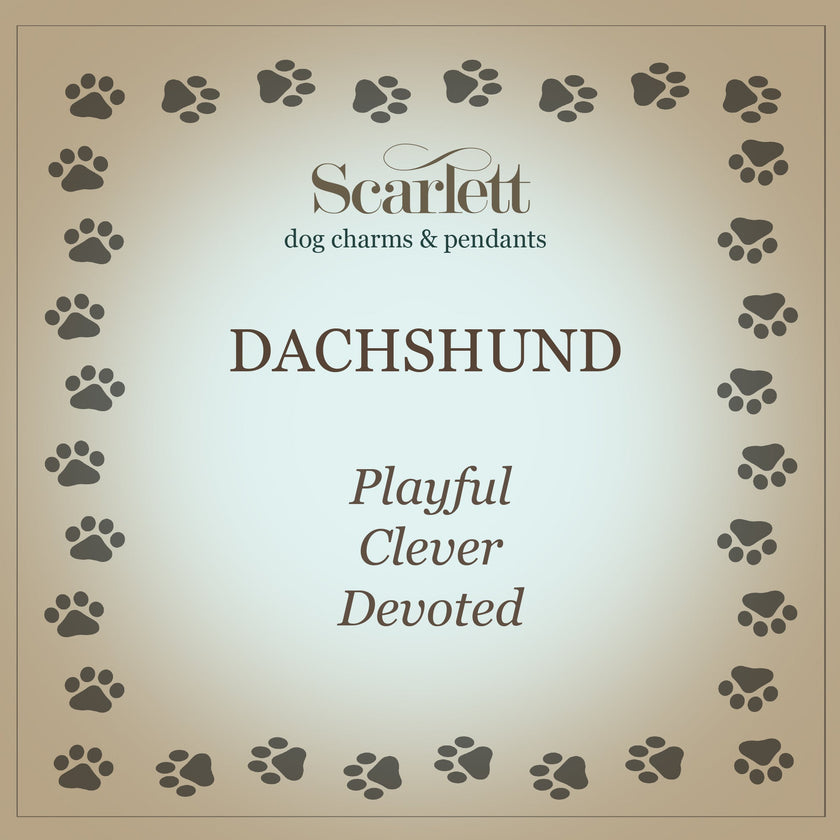 Dachshund Personalised Silver Dog Tag Necklace