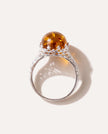 Princess Crown Amber Ring
