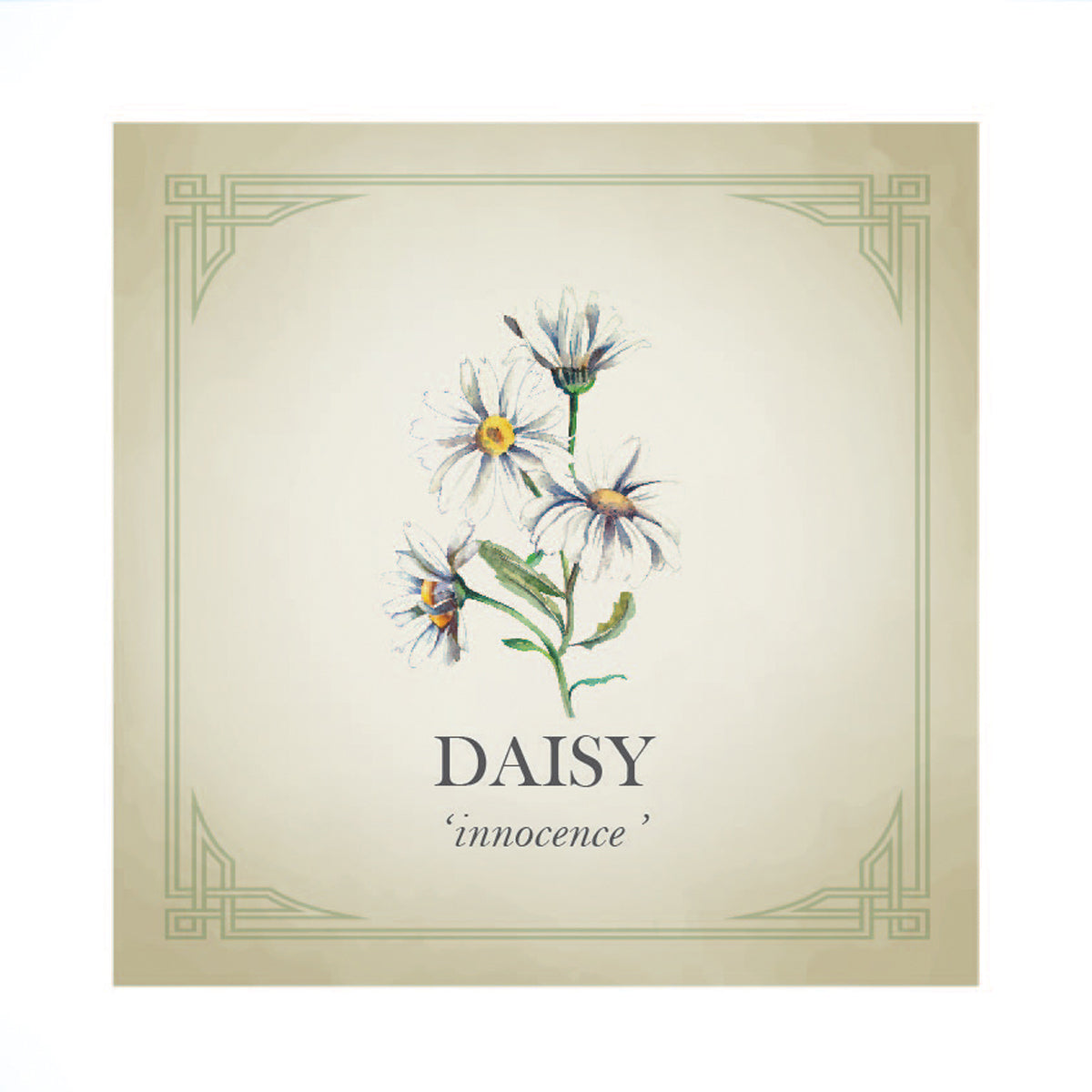 Daisy Flower Silver Charm