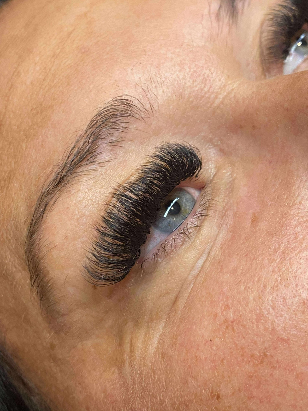 10D Clover Lash 16 Row Mixed Tray
