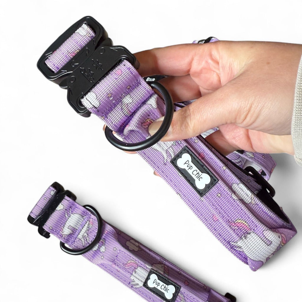 Daydreams and Unicorns Collar