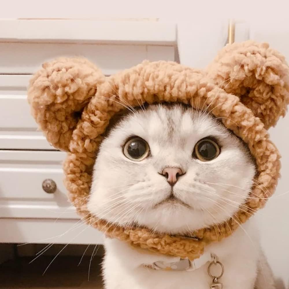 Niedliches Katzenkostüm Bärenmütze für Katzen, warm, weich, kleine Kopfbedeckung für Haustiere