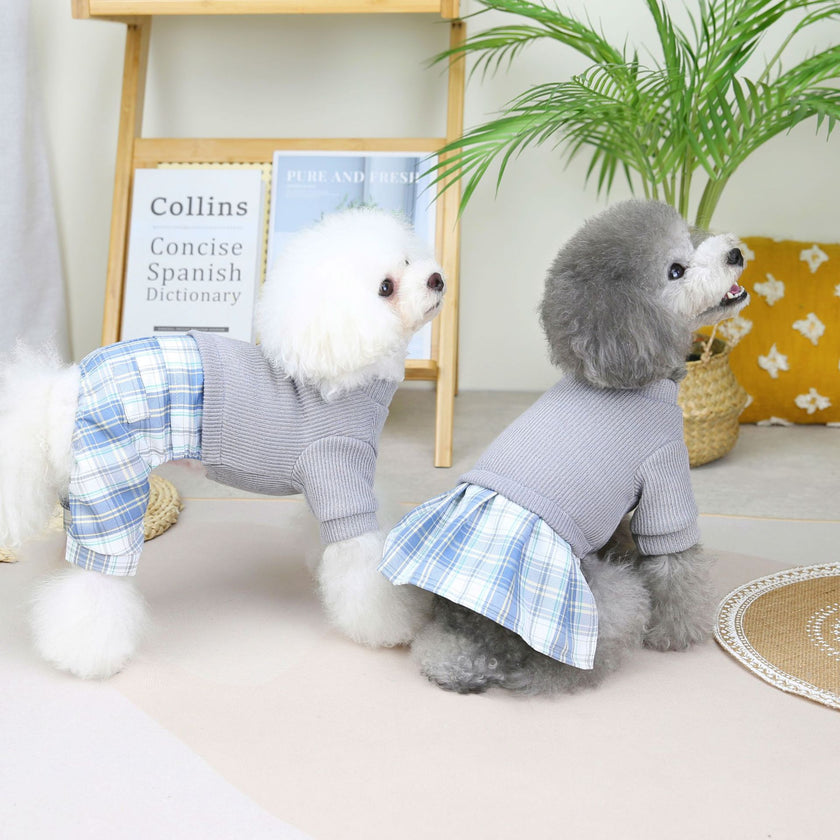 Wool Fabric Leisure Warm Sweatshirt Skirt Pants Suit Dog Clothes