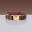 Pet Dog Lettering Collar Walking Velvet Hand Holding Rope